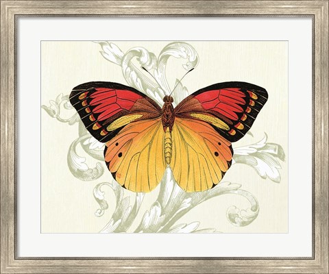 Framed Butterfly Theme III Print