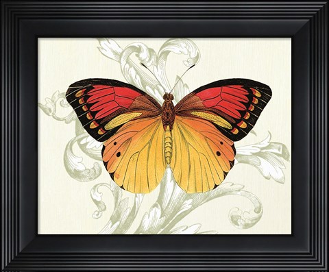 Framed Butterfly Theme III Print