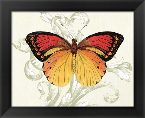 Framed Butterfly Theme III Print