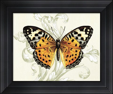 Framed Butterfly Theme IV Print