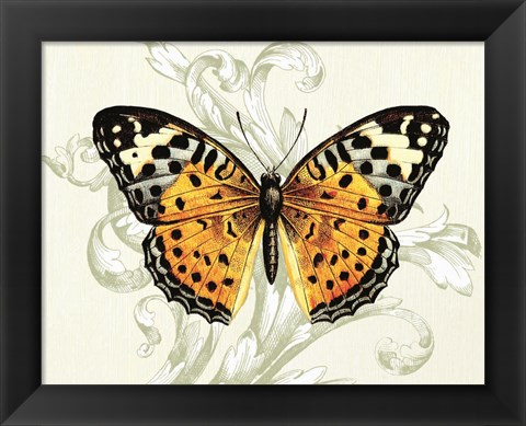 Framed Butterfly Theme IV Print