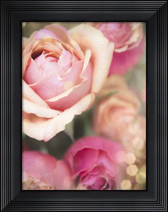 Framed Rosie Pink II Print