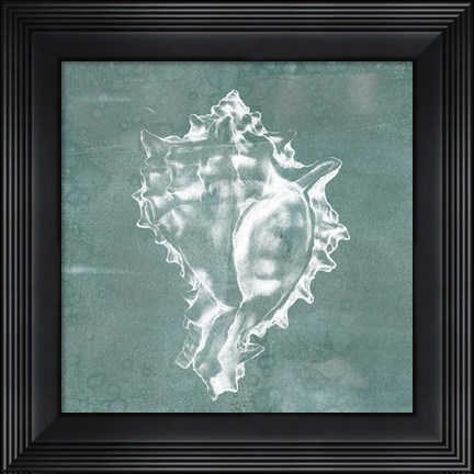 Framed Solitary Shell I Print