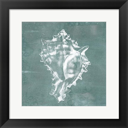 Framed Solitary Shell I Print