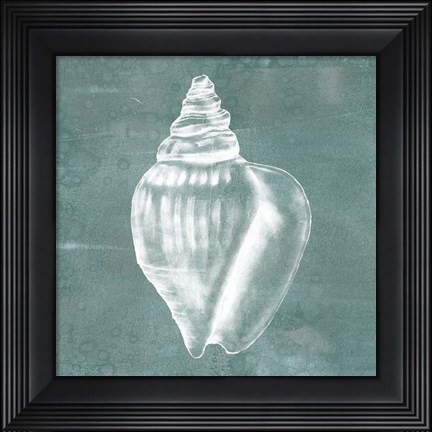 Framed Solitary Shell II Print