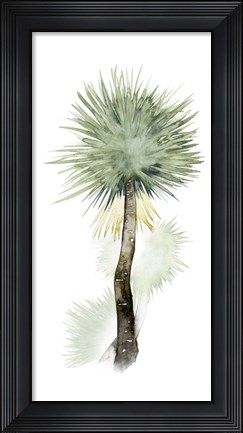 Framed Palm in Watercolor II Print