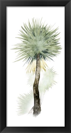 Framed Palm in Watercolor II Print