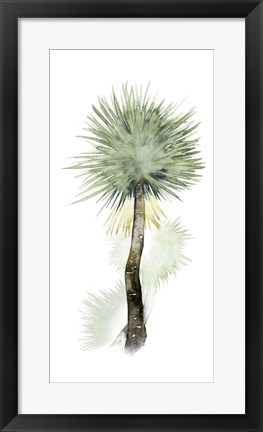 Framed Palm in Watercolor II Print