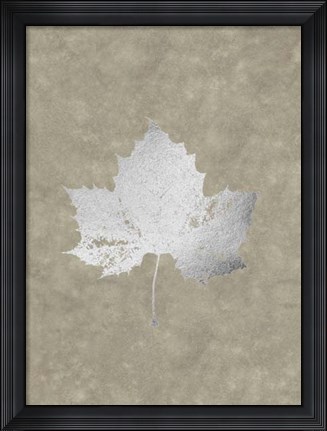 Framed Silver Foil Leaf II on Lichen Wash Print