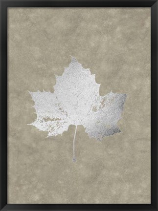 Framed Silver Foil Leaf II on Lichen Wash Print
