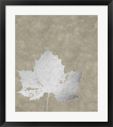 Framed Silver Foil Leaf II on Lichen Wash Print