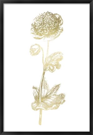 Framed Gold Foil Singular Beauty I Print