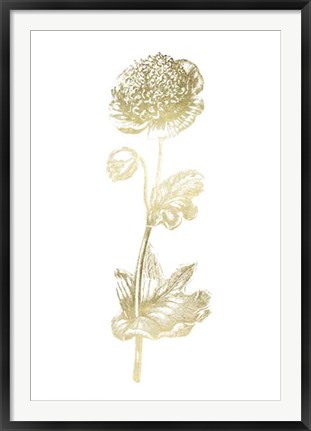 Framed Gold Foil Singular Beauty I Print