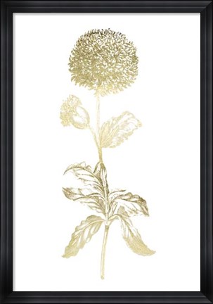 Framed Gold Foil Singular Beauty II Print