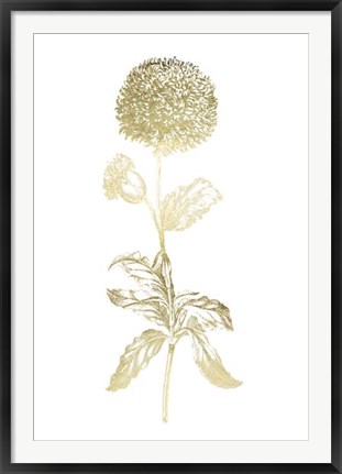 Framed Gold Foil Singular Beauty II Print