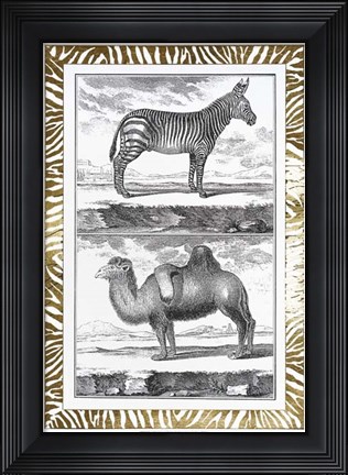 Framed Gilded Safari II - Metallic Foil Print