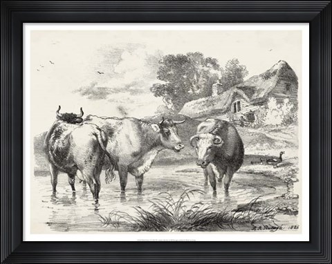 Framed Rural Charms I Print