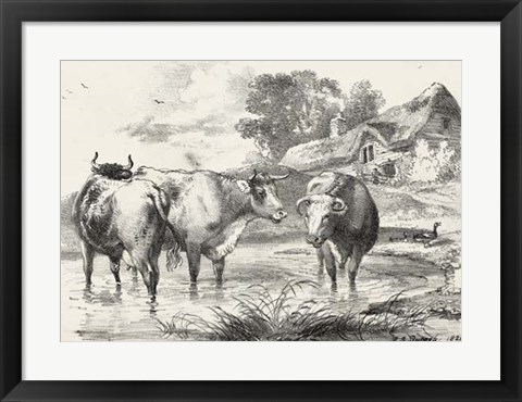 Framed Rural Charms I Print