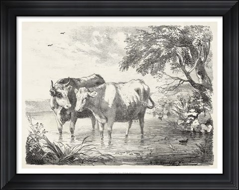 Framed Rural Charms II Print