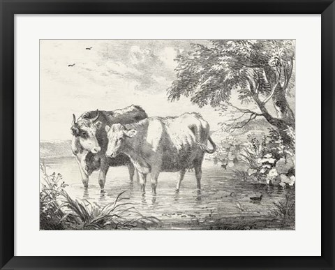 Framed Rural Charms II Print