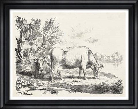 Framed Rural Charms III Print