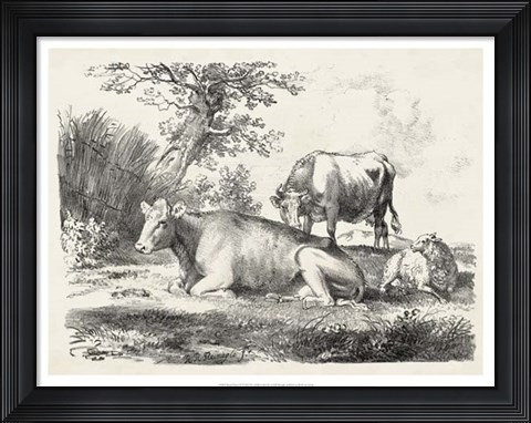 Framed Rural Charms IV Print