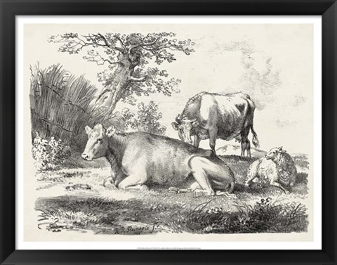 Framed Rural Charms IV Print
