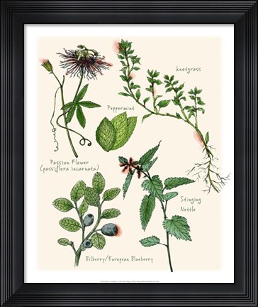 Framed Sweet Assemblage I Print