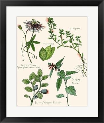 Framed Sweet Assemblage I Print