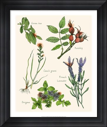 Framed Sweet Assemblage II Print