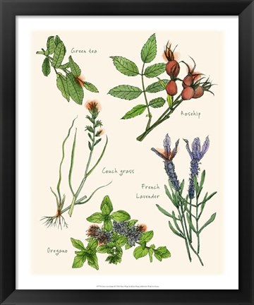 Framed Sweet Assemblage II Print