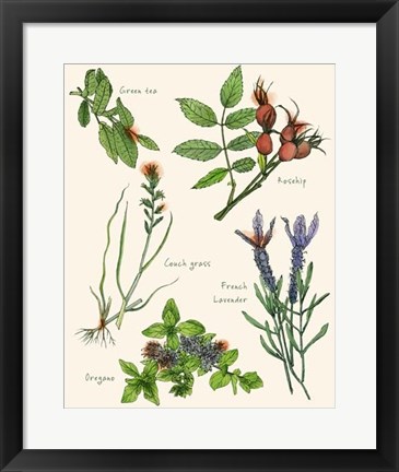 Framed Sweet Assemblage II Print