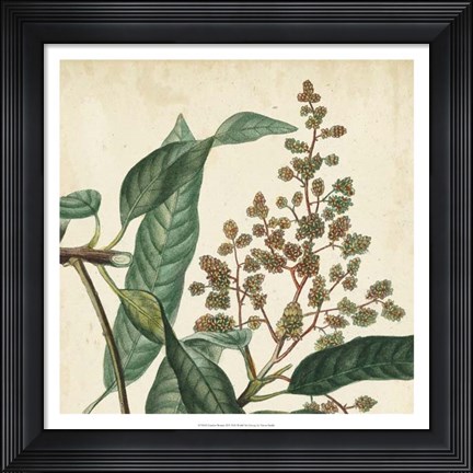 Framed Garden Bounty II Print
