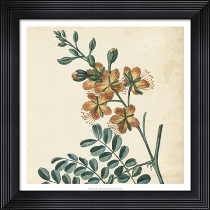 Framed Garden Bounty III Print