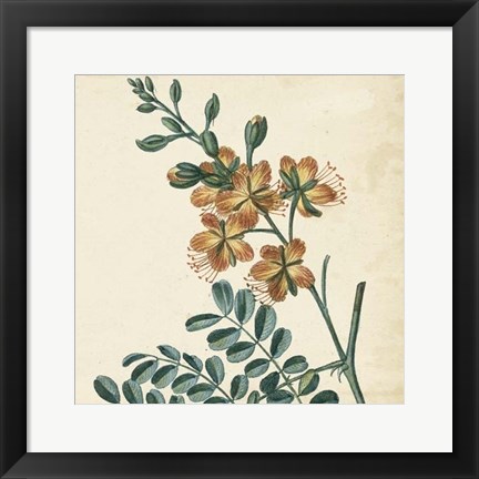 Framed Garden Bounty III Print