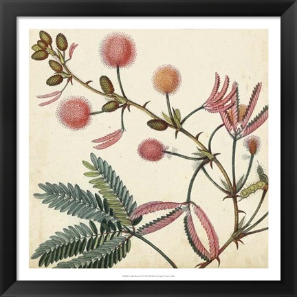 Framed Garden Bounty IV Print