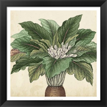 Framed Garden Bounty V Print