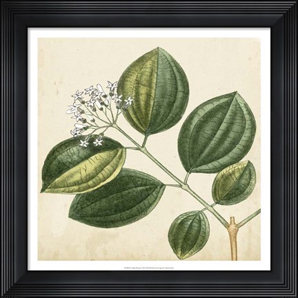 Framed Garden Bounty VII Print