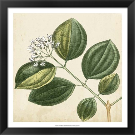 Framed Garden Bounty VII Print