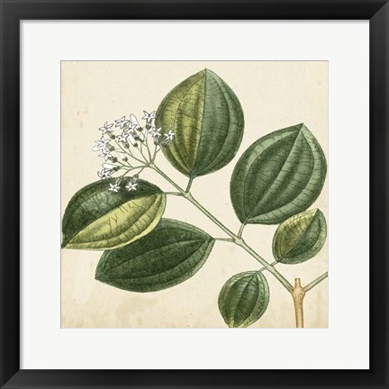 Framed Garden Bounty VII Print