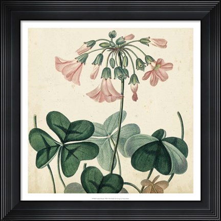 Framed Garden Bounty VIII Print