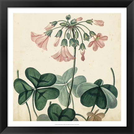 Framed Garden Bounty VIII Print