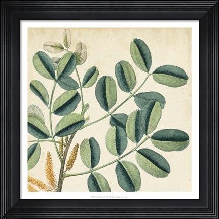 Framed Garden Bounty IX Print