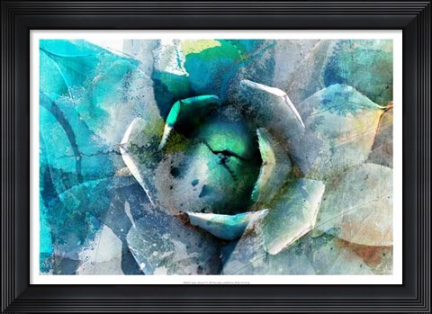 Framed Agave Abstract I Print