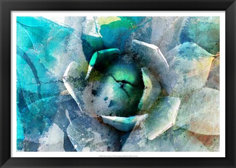 Framed Agave Abstract I Print