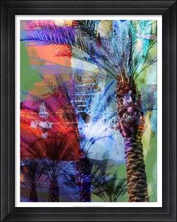 Framed Desert Palm Abstract Print