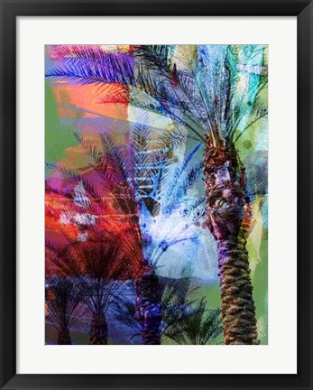 Framed Desert Palm Abstract Print