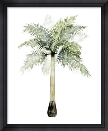 Framed Watercolor Palm of the Tropics II Print