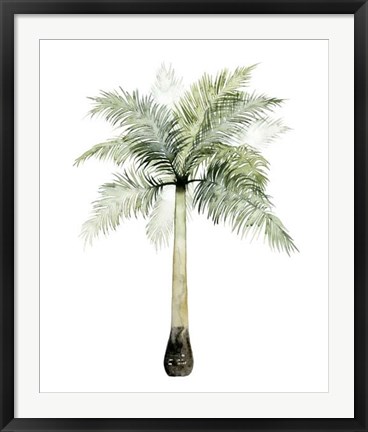 Framed Watercolor Palm of the Tropics II Print