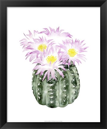 Framed Cactus Bloom I Print